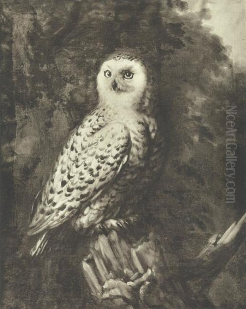 Fjalluggla Oil Painting by David Klocker Ehrenstrahl