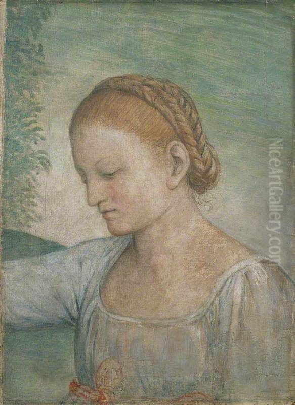 Head of a Girl Oil Painting by Bernardino Luini