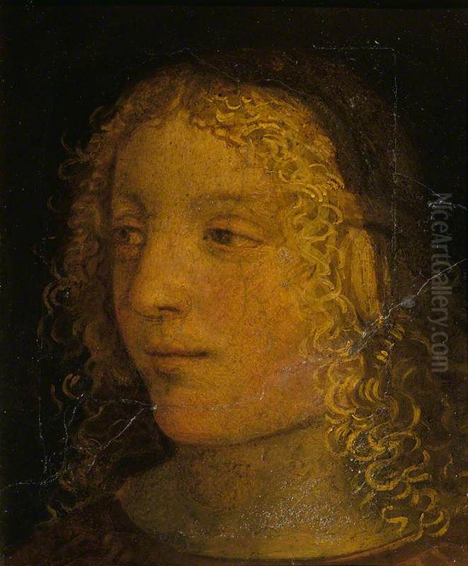 Head of a Boy Oil Painting by Bernardino Luini