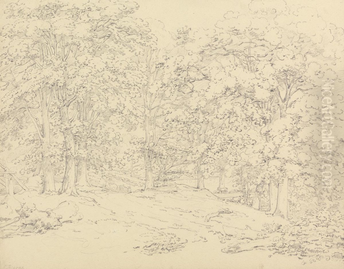 Trees in Ashtead Park, Surrey Oil Painting by Thomas Hearne