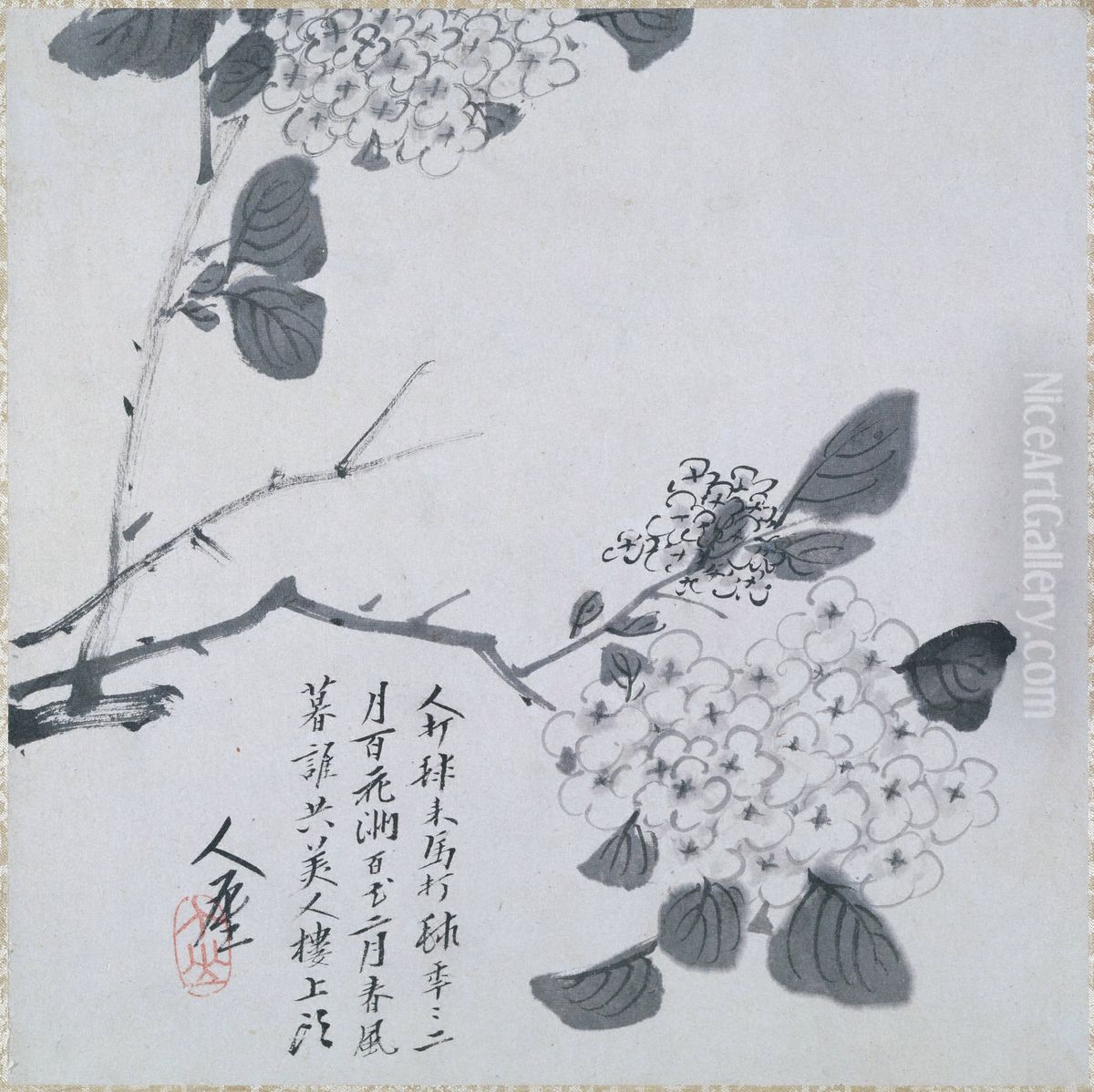 Branch of Hydrangea Oil Painting by Bada Shanren