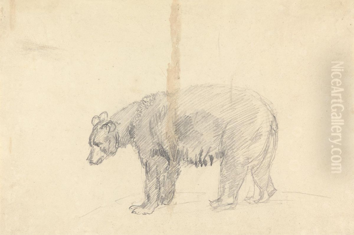 Study of a Bear Oil Painting by Sawrey Gilpin