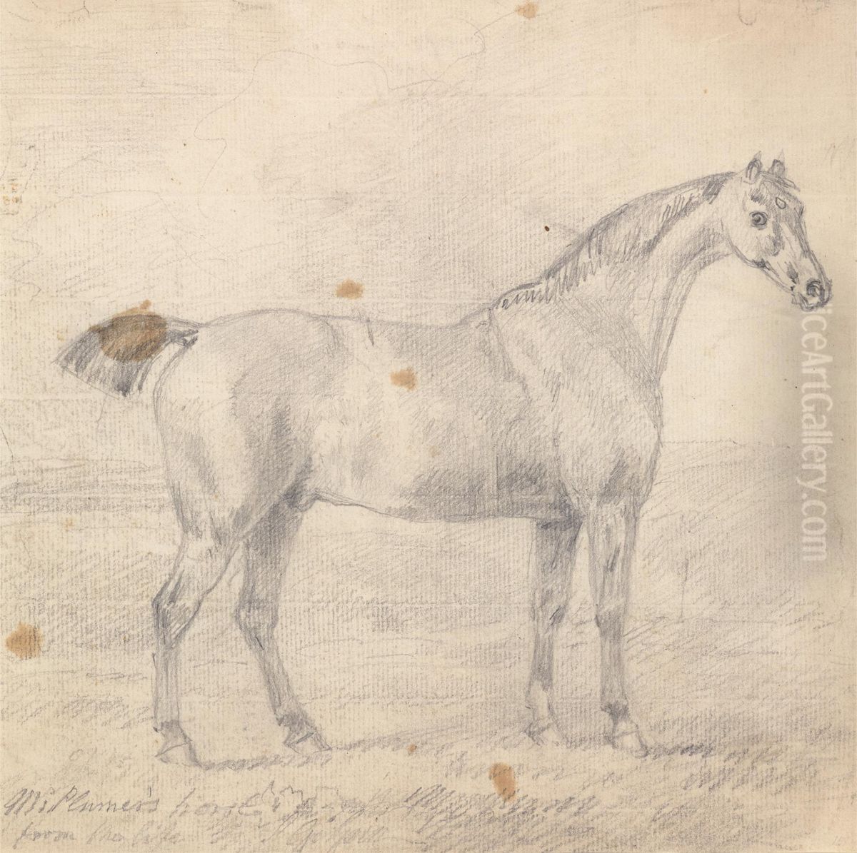 Mr. Plumer's Horse Oil Painting by Sawrey Gilpin