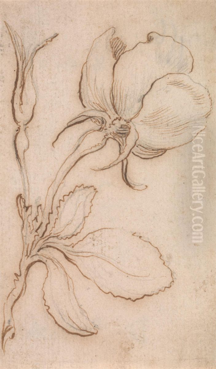 A Study in Pinks and Roses Oil Painting by Stefano della Bella