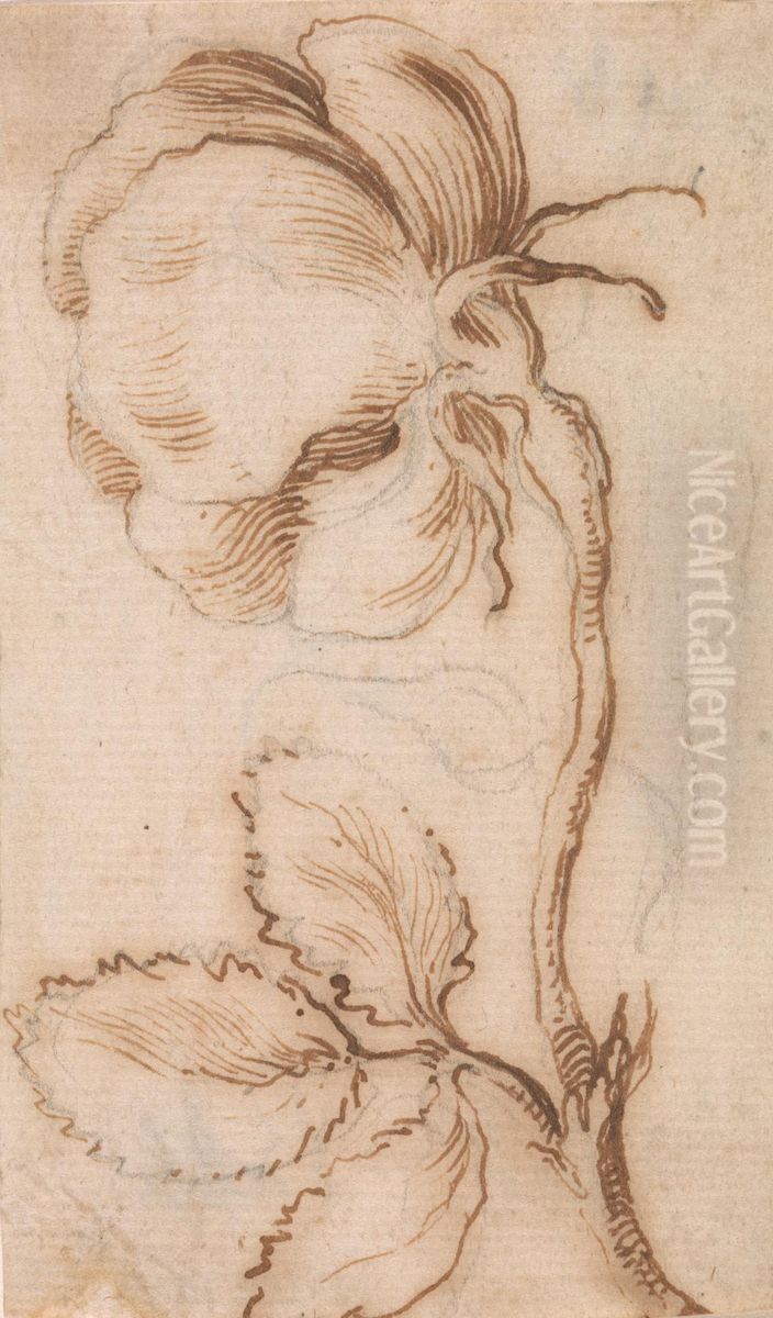 A Study of Pinks and Roses Oil Painting by Stefano della Bella