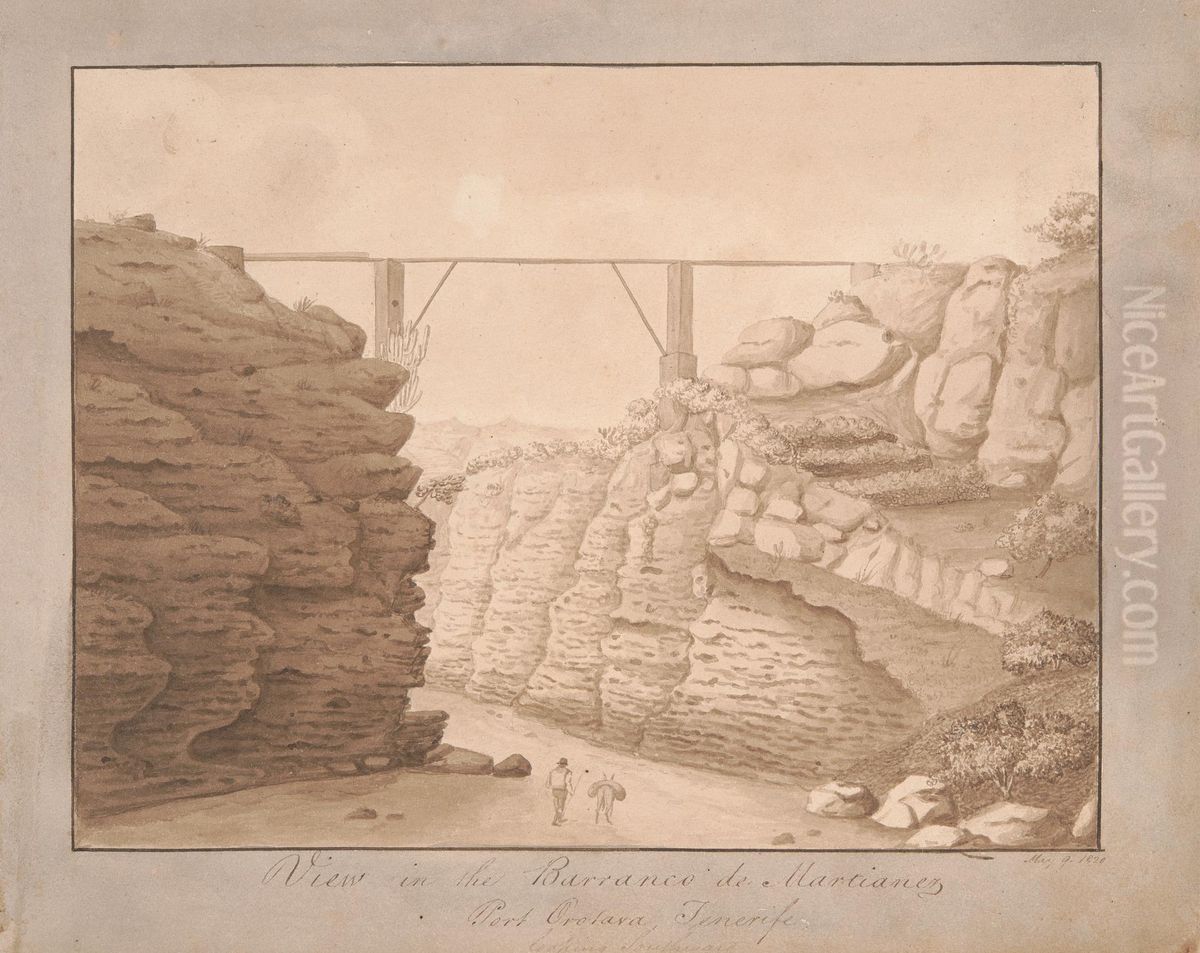 View in the Barranco de Martianez, Port Orotava, Tenerife, looking Southward Oil Painting by Alfred Diston