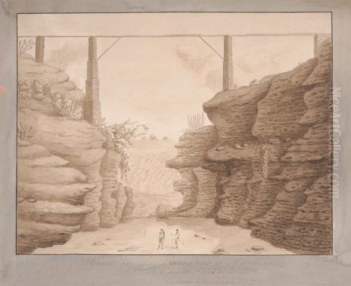 View in the Barracano de Martianez, Port Orotava, Tenerife, looking Northward Oil Painting by Alfred Diston