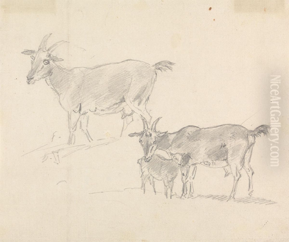 Study of Goats Oil Painting by Sawrey Gilpin