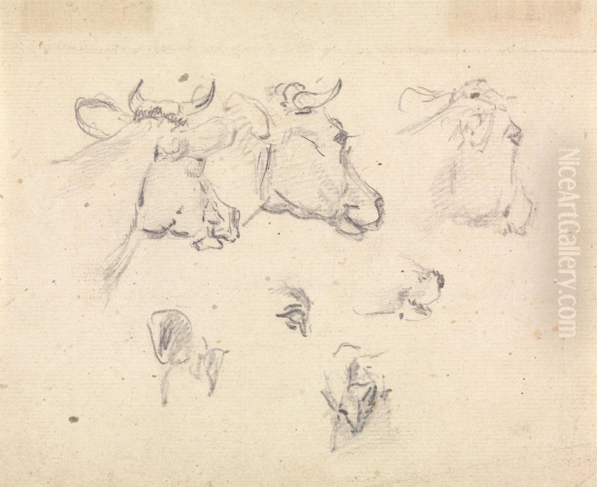 Studies of a cow's head Oil Painting by Sawrey Gilpin