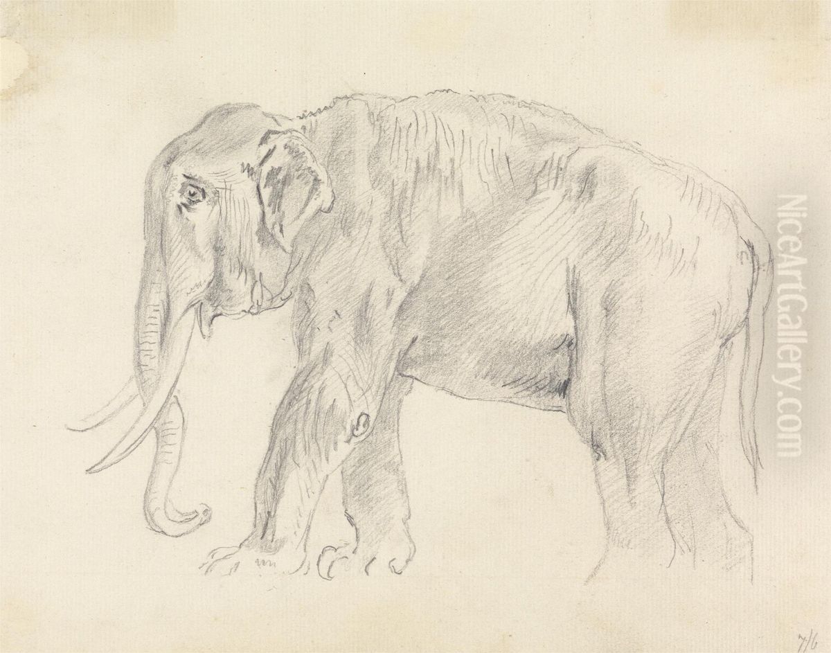 Study of an Elephant Oil Painting by Sawrey Gilpin