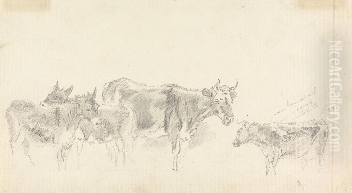 Study of Cattle and Donkeys Oil Painting by Sawrey Gilpin