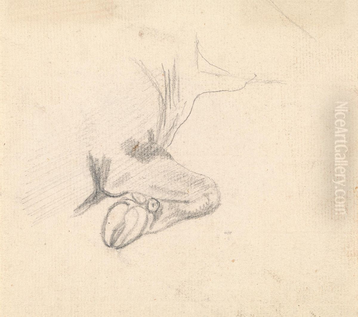 Study of a Cow's Hoof Oil Painting by Sawrey Gilpin