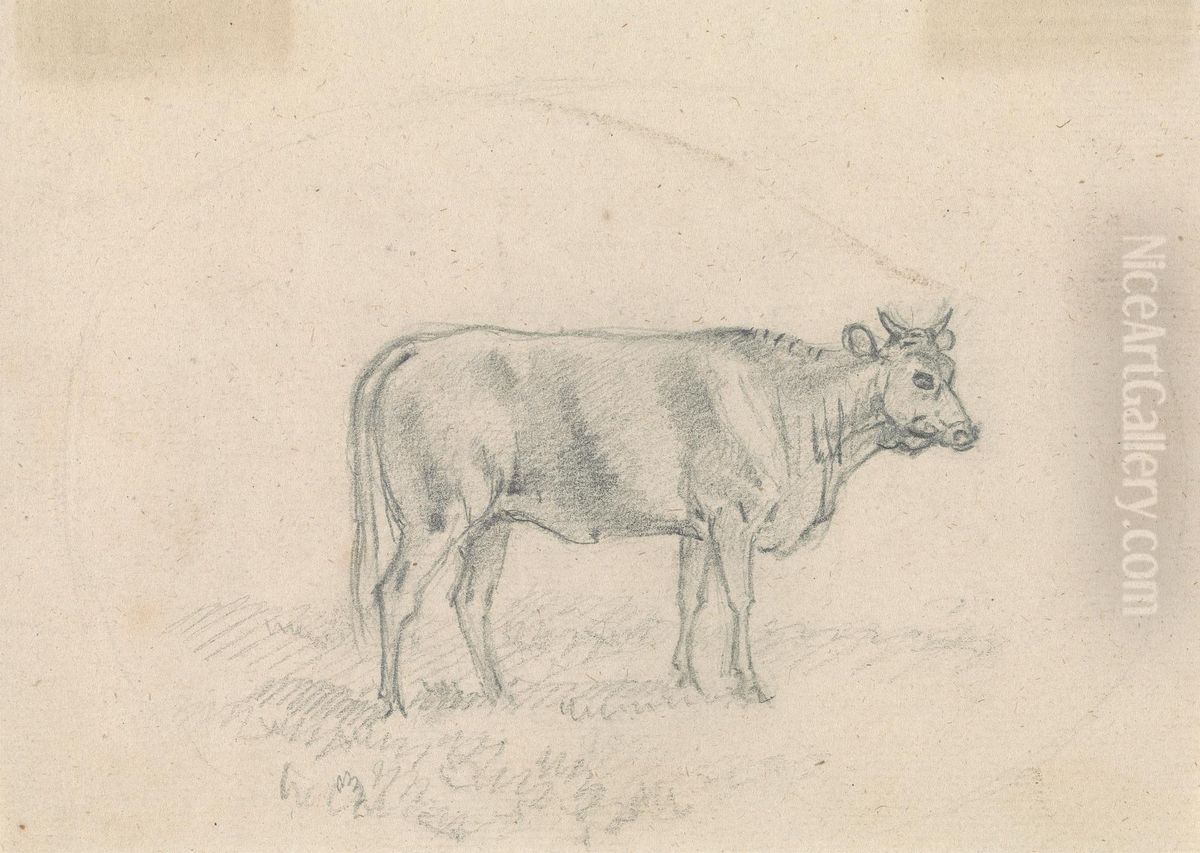 Sketch of a Cow Oil Painting by Sawrey Gilpin