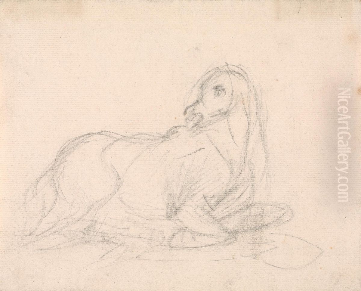 Study of a horse lying down Oil Painting by Sawrey Gilpin