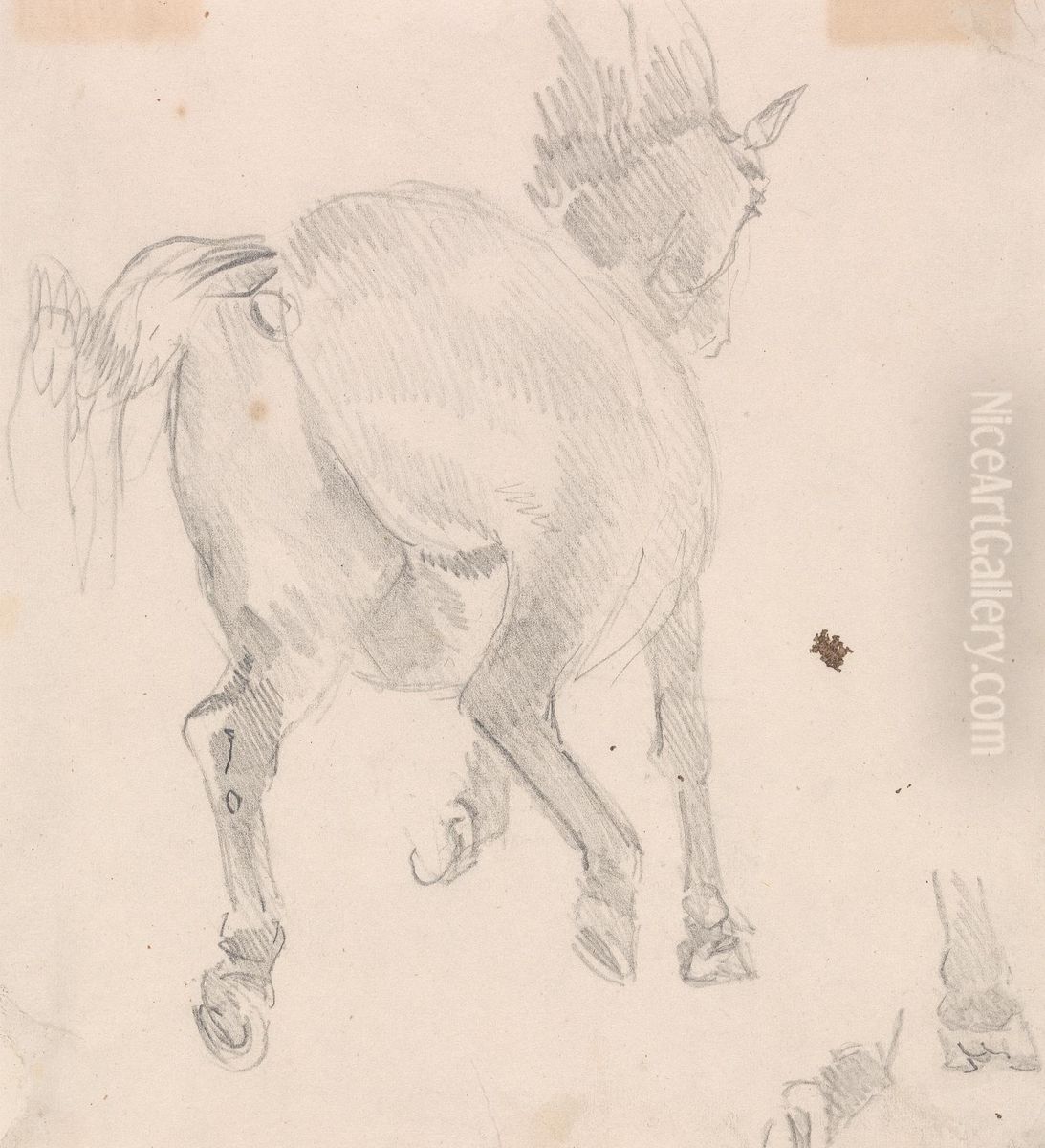 Study of a bear Oil Painting by Sawrey Gilpin