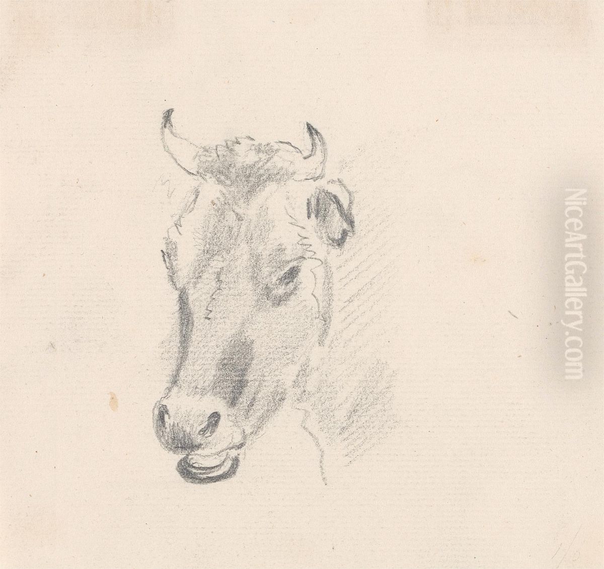 Study of a Cow's Head Oil Painting by Sawrey Gilpin