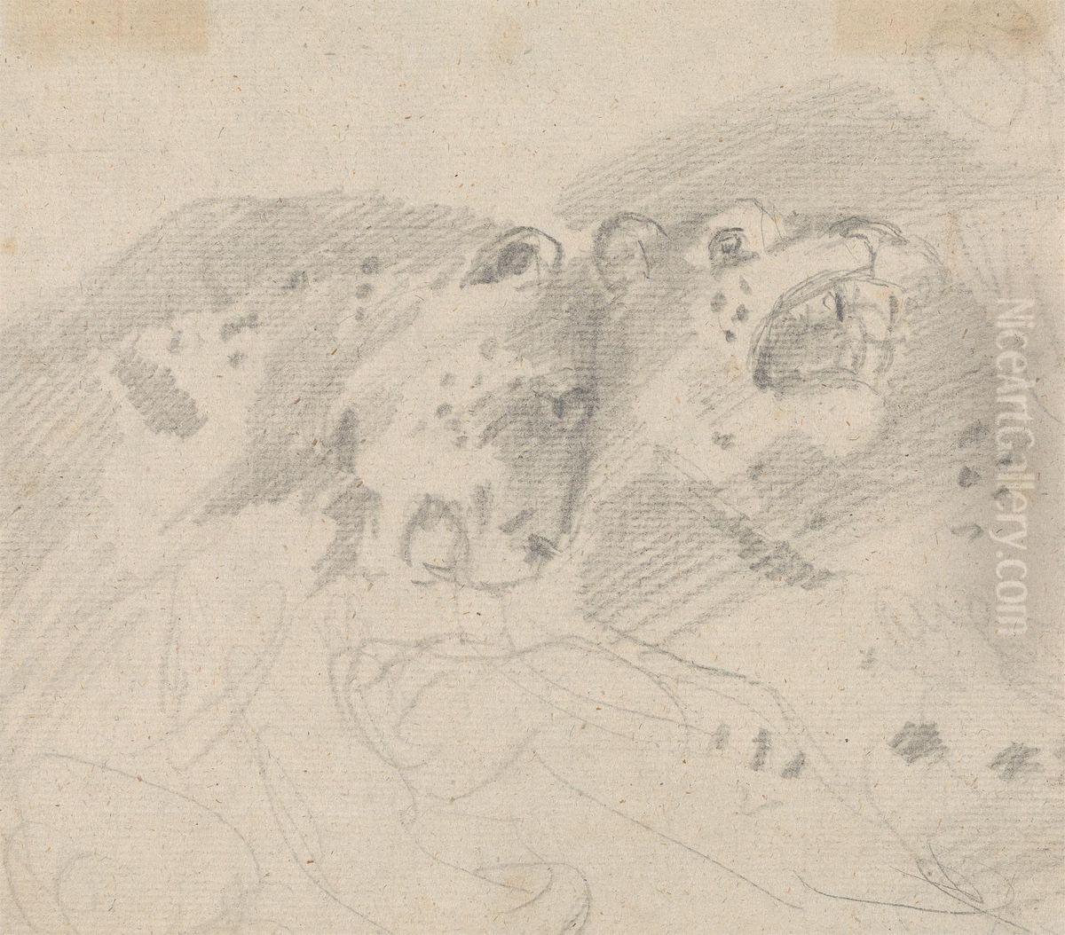 Two Leopards Oil Painting by Sawrey Gilpin