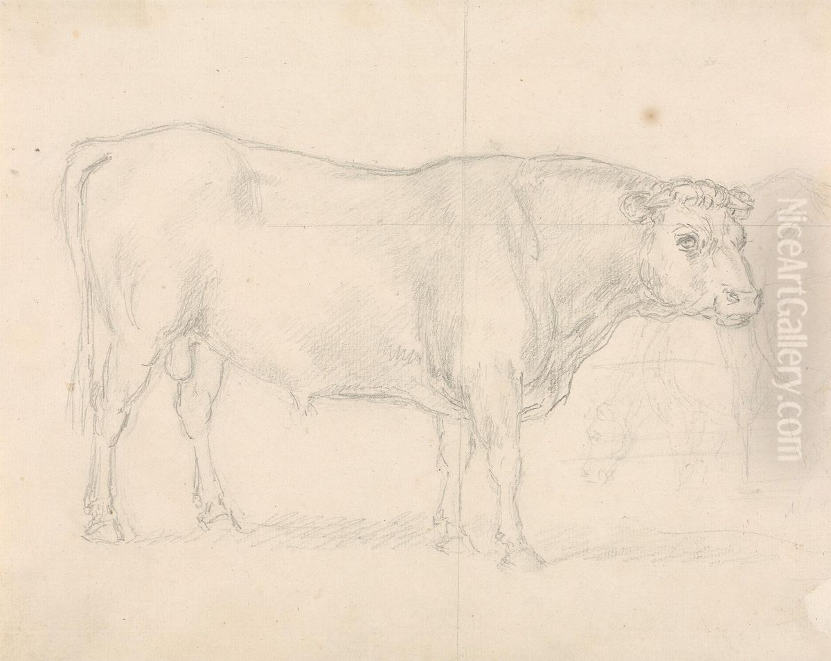 Study of a Bull Oil Painting by Sawrey Gilpin