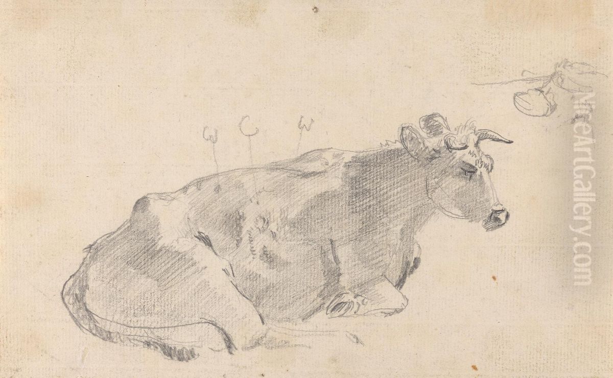 Study of a cow lying down, and facing right Oil Painting by Sawrey Gilpin