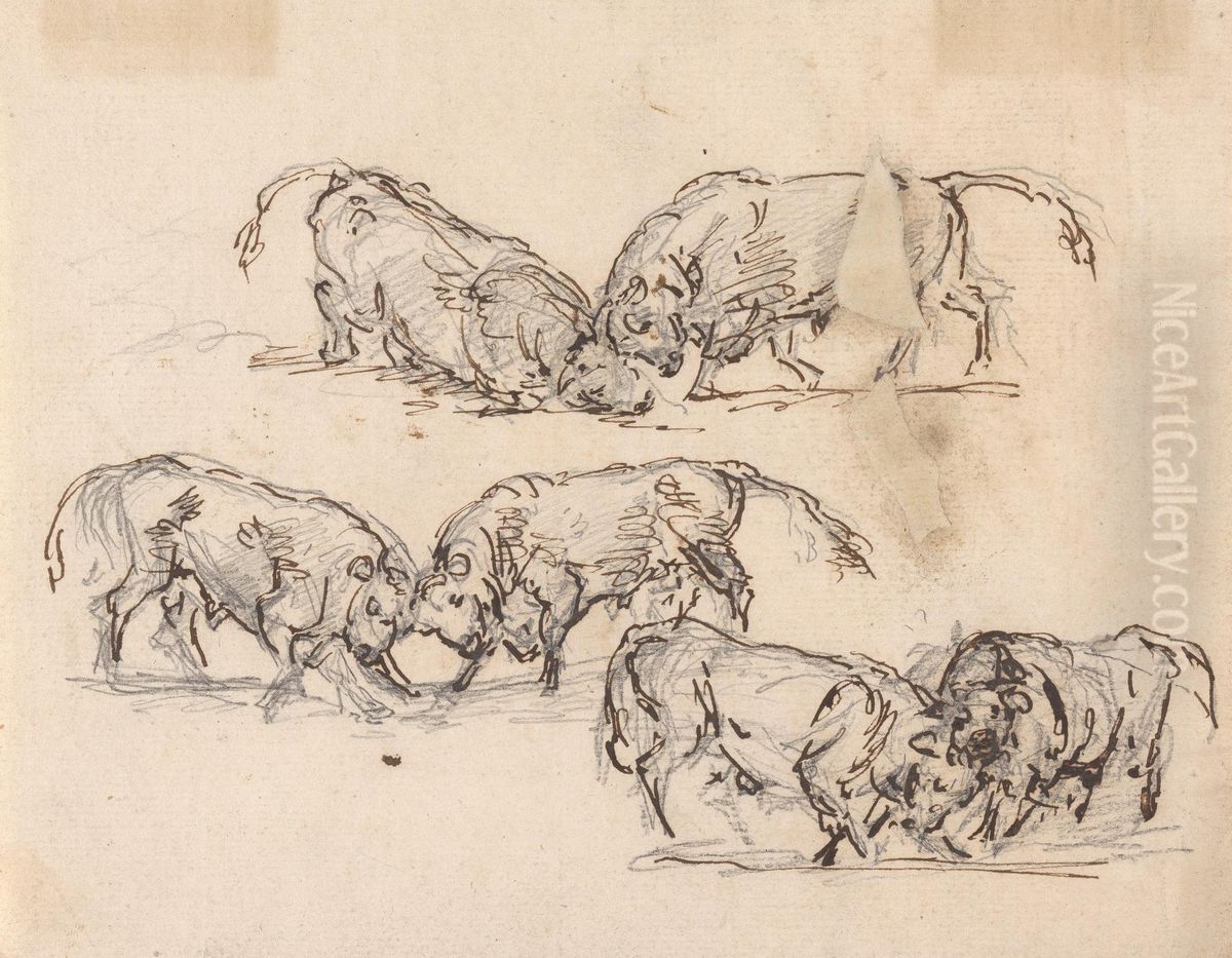 Studies of Bull Fighting Oil Painting by Sawrey Gilpin