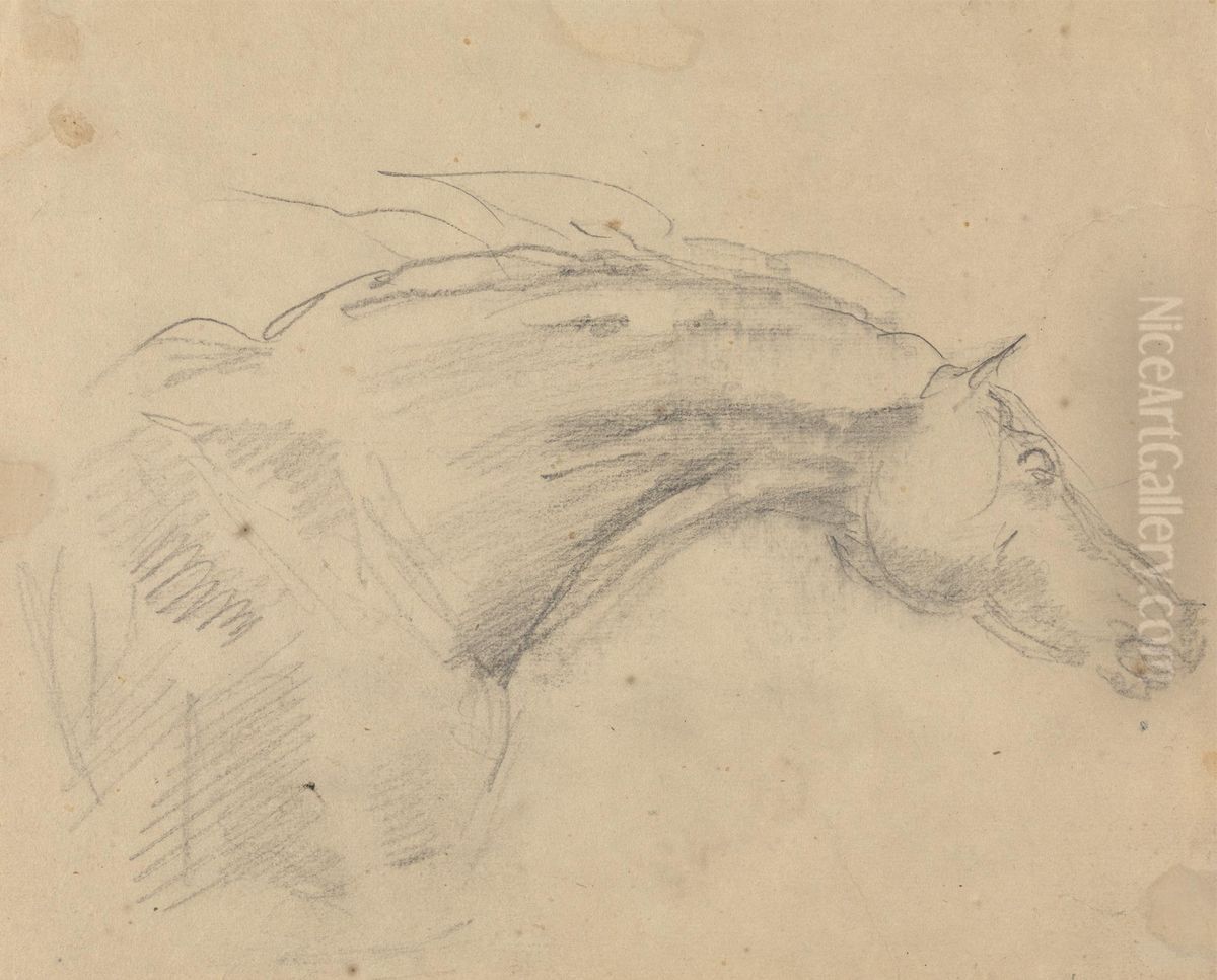 Head and neck of a horse facing right Oil Painting by Sawrey Gilpin