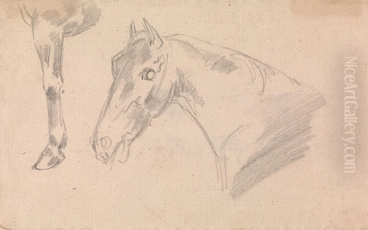 Study of head and neck of a horse Oil Painting by Sawrey Gilpin