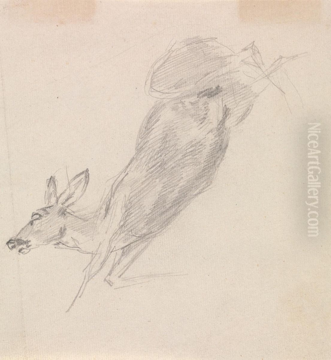 Study of a dead deer Oil Painting by Sawrey Gilpin