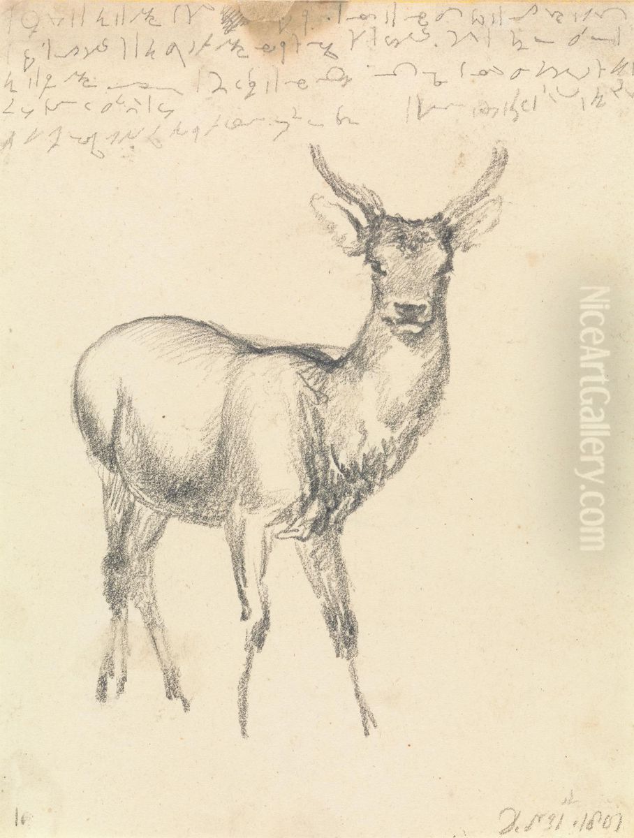 A Young Deer Oil Painting by Robert Hills