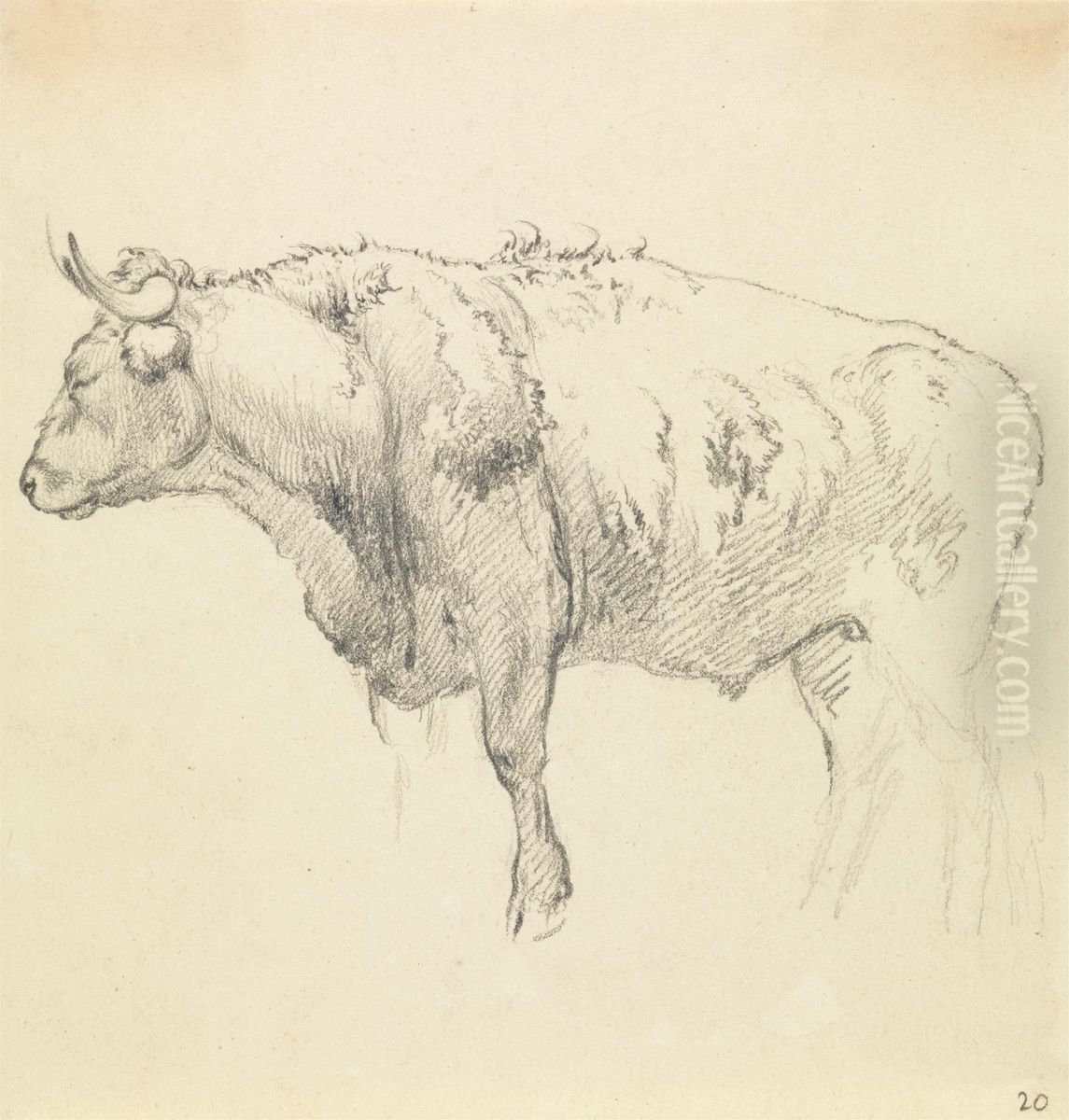 A Bull Oil Painting by Robert Hills