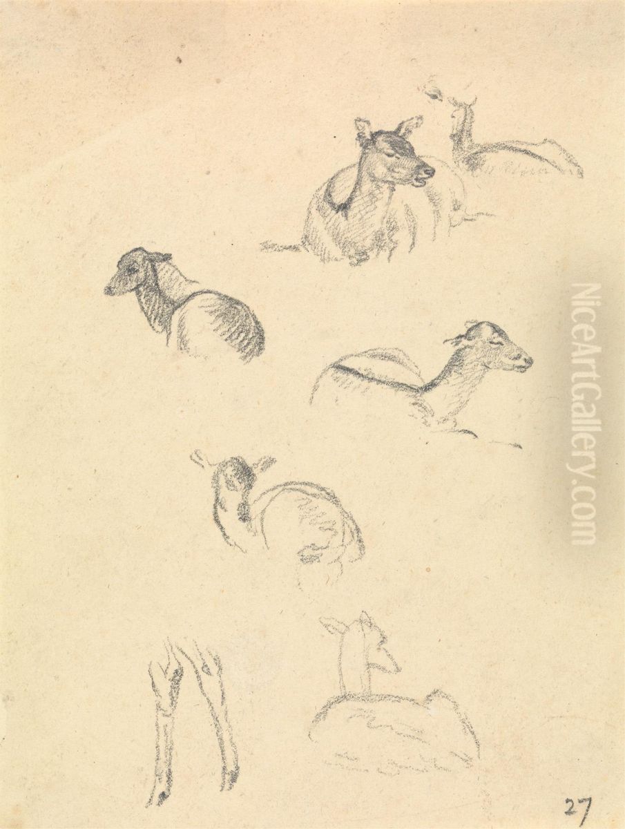 Deer Oil Painting by Robert Hills