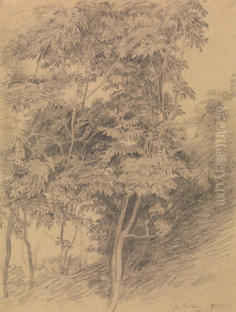 Tree Study Oil Painting by David Wilkie