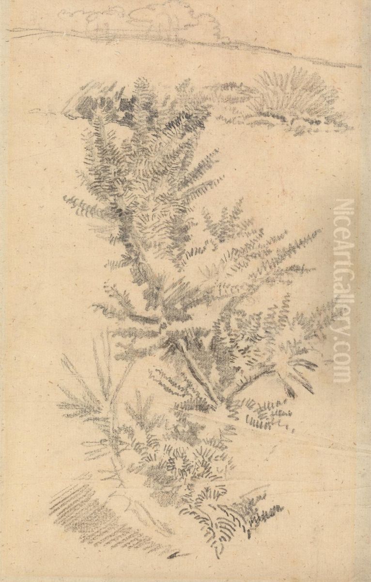 Study of Trees, etc., in a Meadow Oil Painting by George Richmond