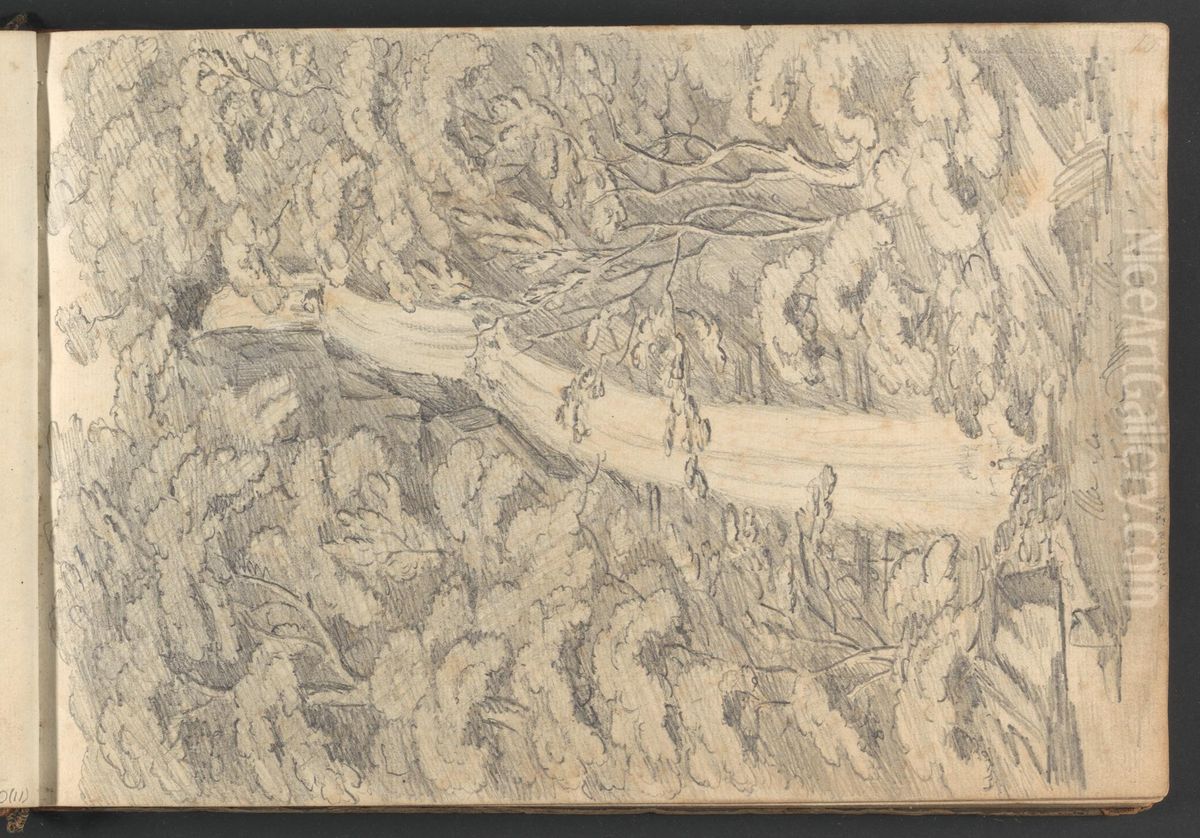 Lidford Fall Oil Painting by William Brockedon