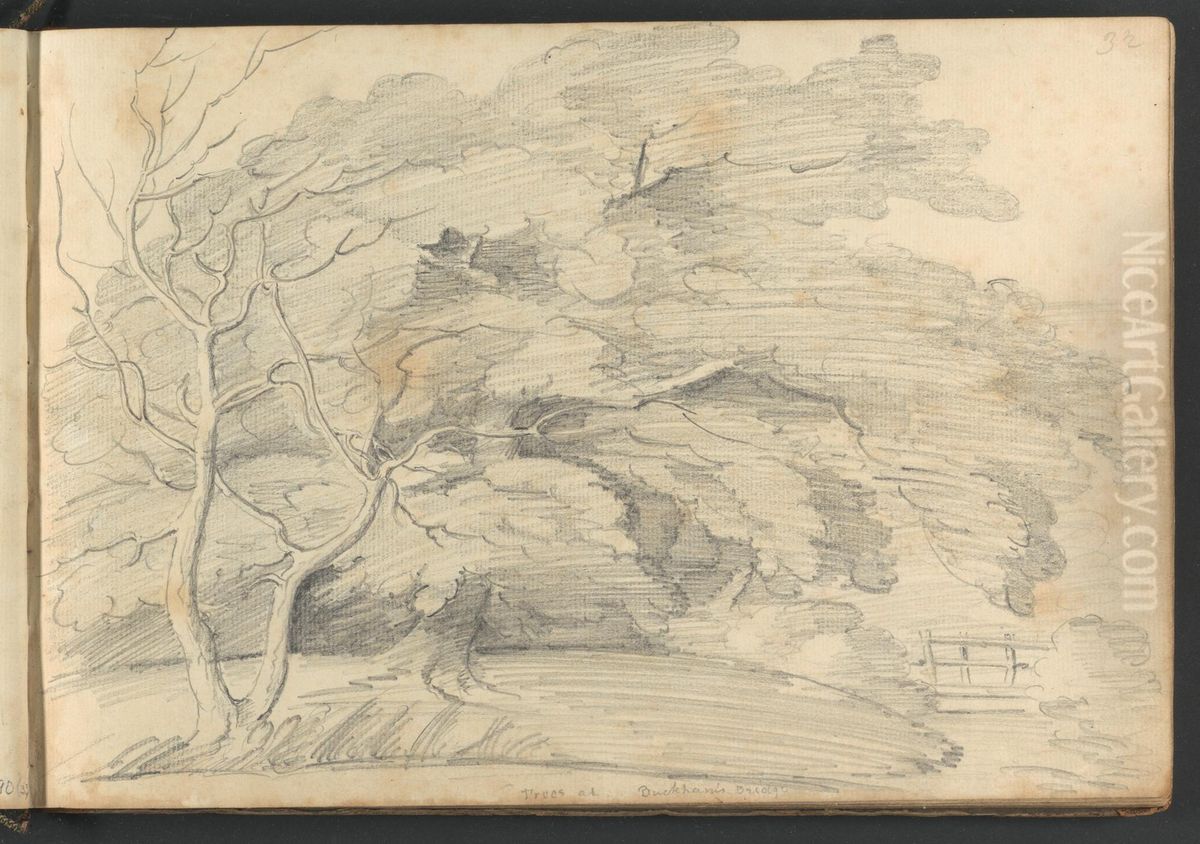 Trees at Buckham's Bridge Oil Painting by William Brockedon