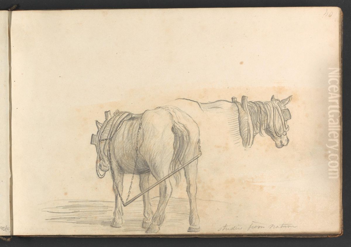Studies from Nature (two horses) Oil Painting by William Brockedon