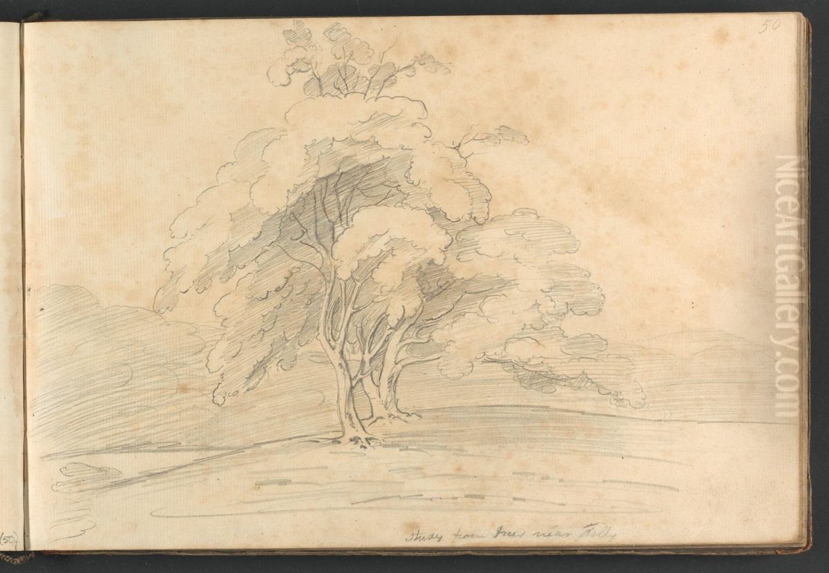 Study from trees near Folly Oil Painting by William Brockedon