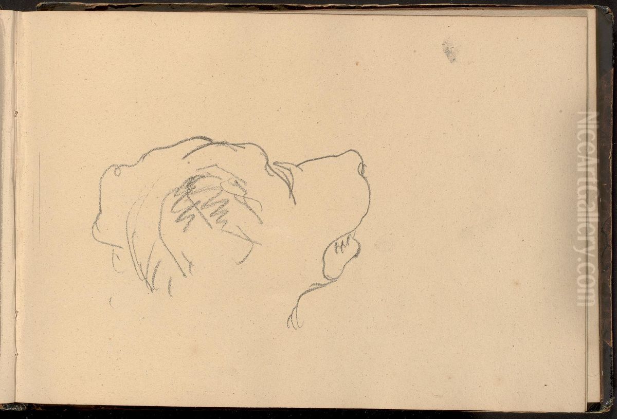 Sketch of a Dog's Head Oil Painting by William Brockedon