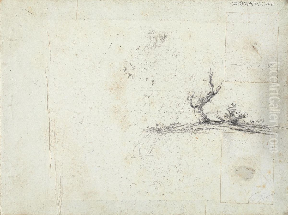 Sketch of a Tree (inverted) Oil Painting by William Brockedon