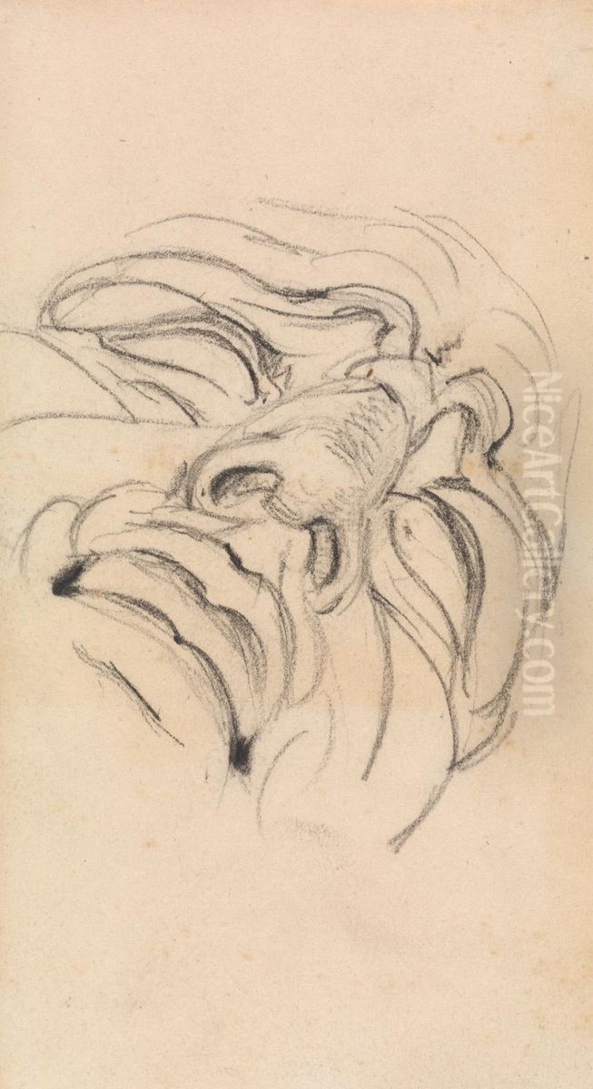 Study of a Man's Expressive Face Oil Painting by Benjamin Haydon