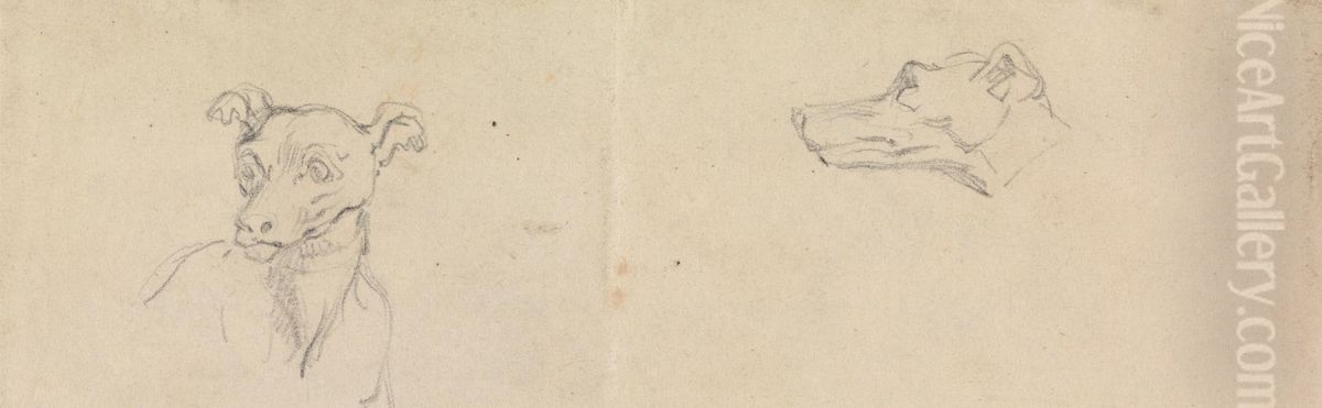 Sketch of a Dog Oil Painting by Robert Smirke