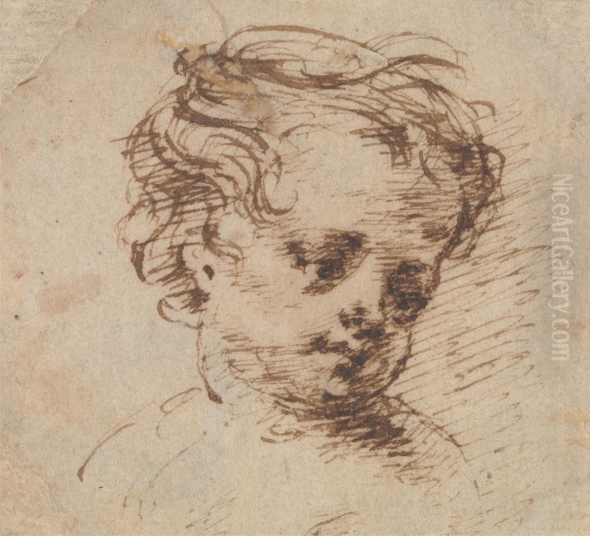 Head of a Child Looking to Right Oil Painting by Isaac Oliver