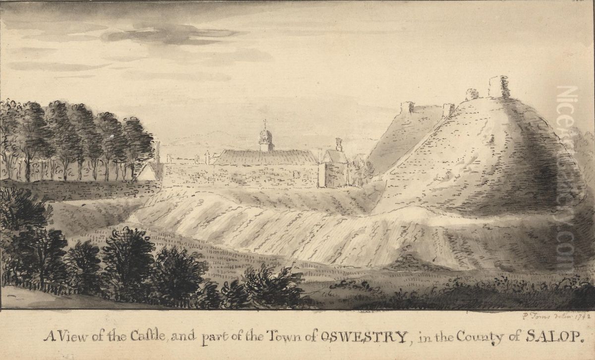 A View of the Castle and Part of the Town of Oswestry, in the County of Salop Oil Painting by Peter Toms
