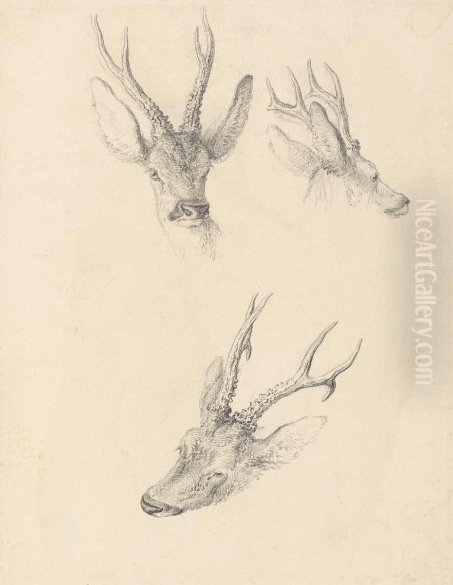 three studies Oil Painting by Robert Hills