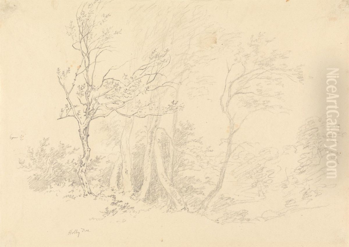 Study of a Holly Tree Oil Painting by Robert Hills