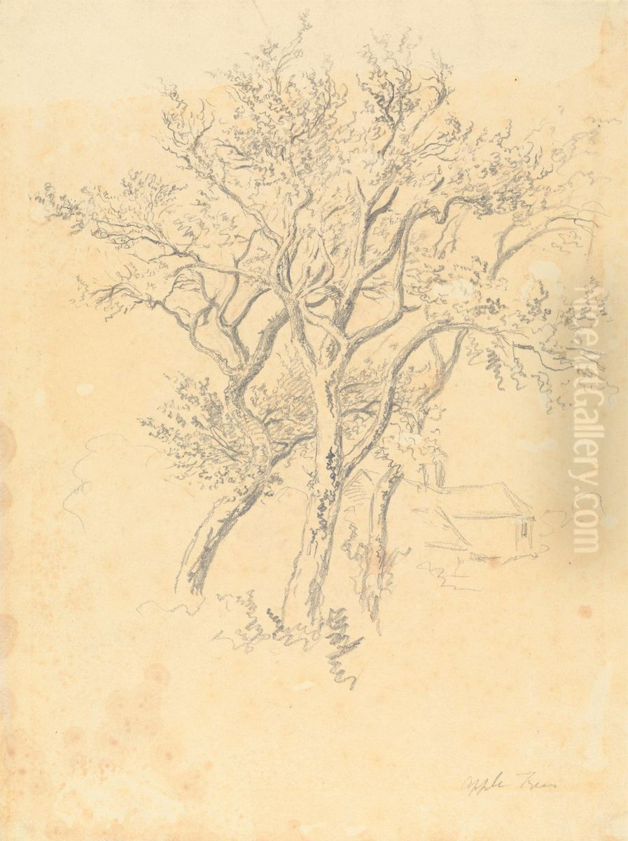 Study of Apple Trees Oil Painting by Robert Hills