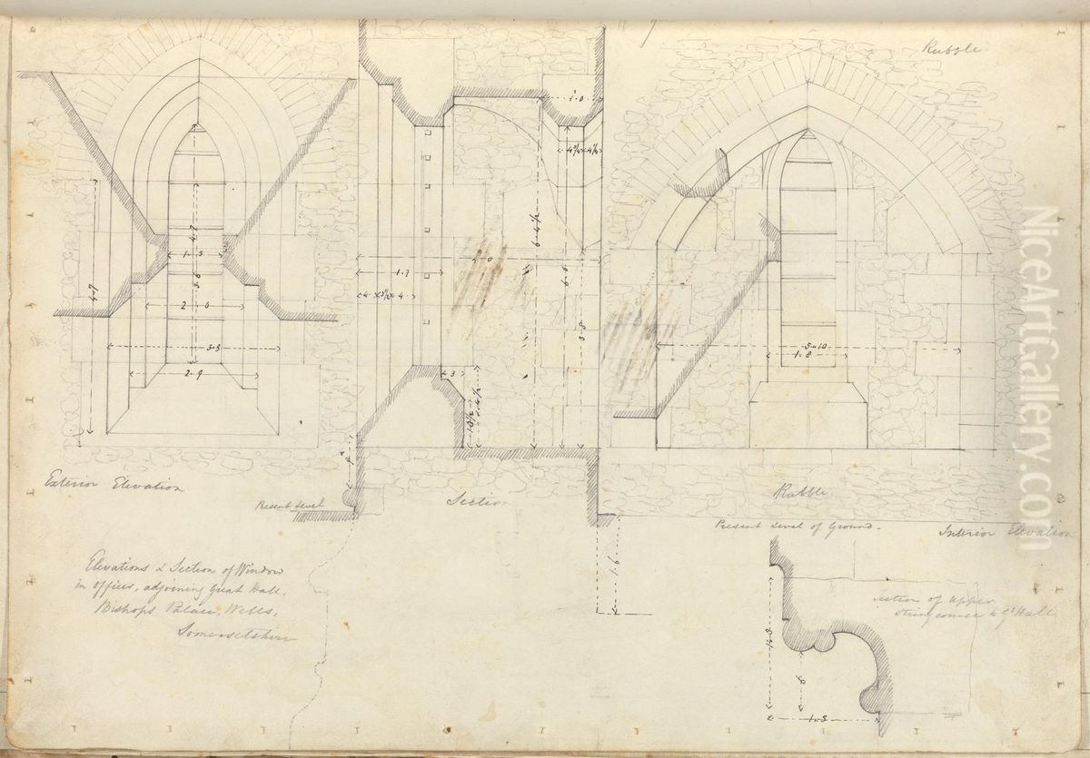 Elevations and Sections of Windows Oil Painting by Augustus Pugin
