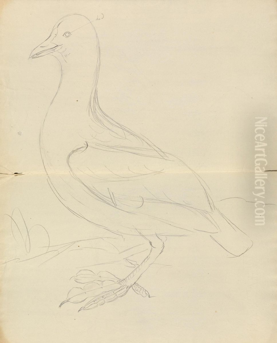 A Bird Oil Painting by James Sowerby