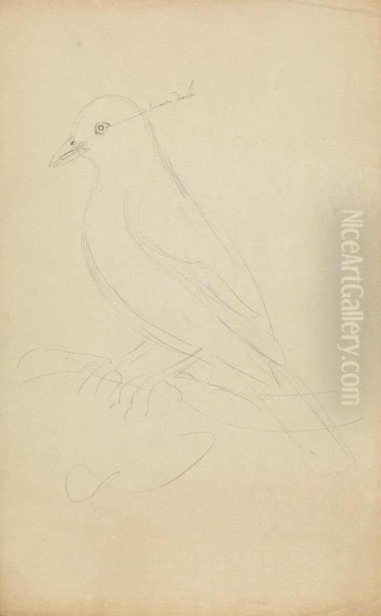 A Blackbird Oil Painting by James Sowerby