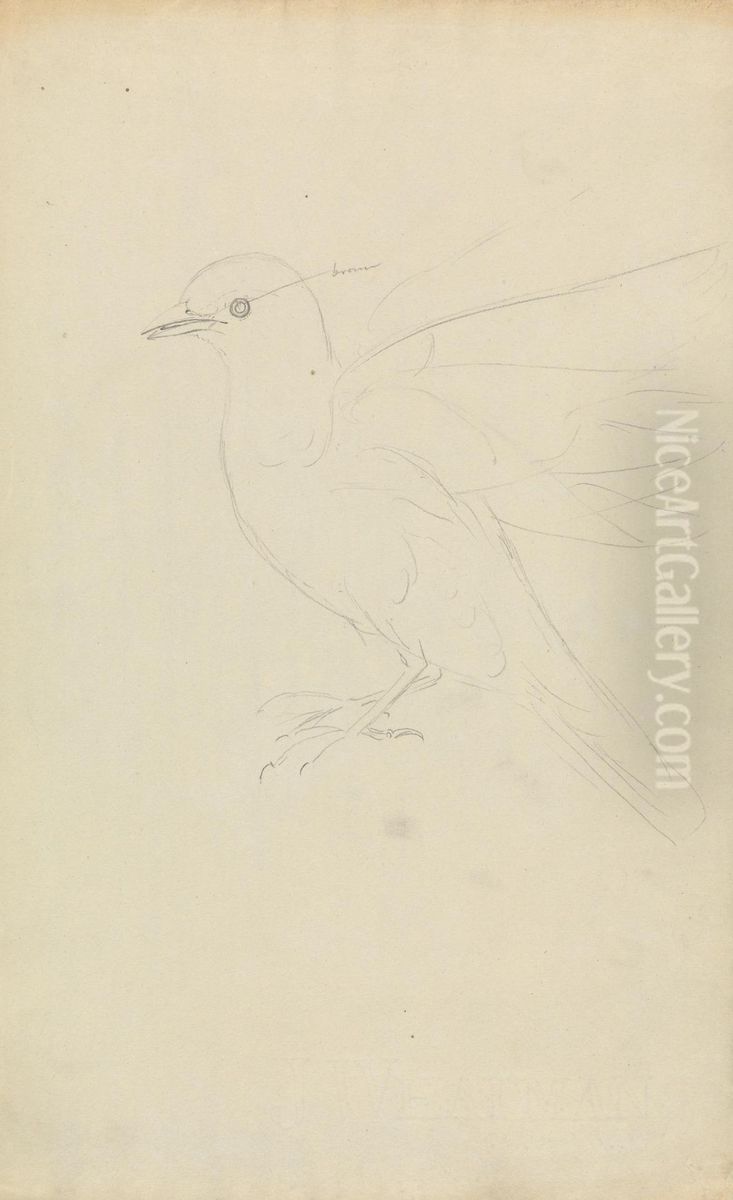 A Redwing Thrush Oil Painting by James Sowerby