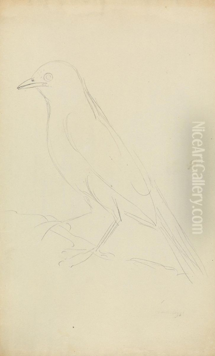 A Fieldfare Oil Painting by James Sowerby